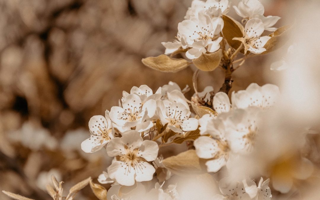 La reputazione del tuo brand online